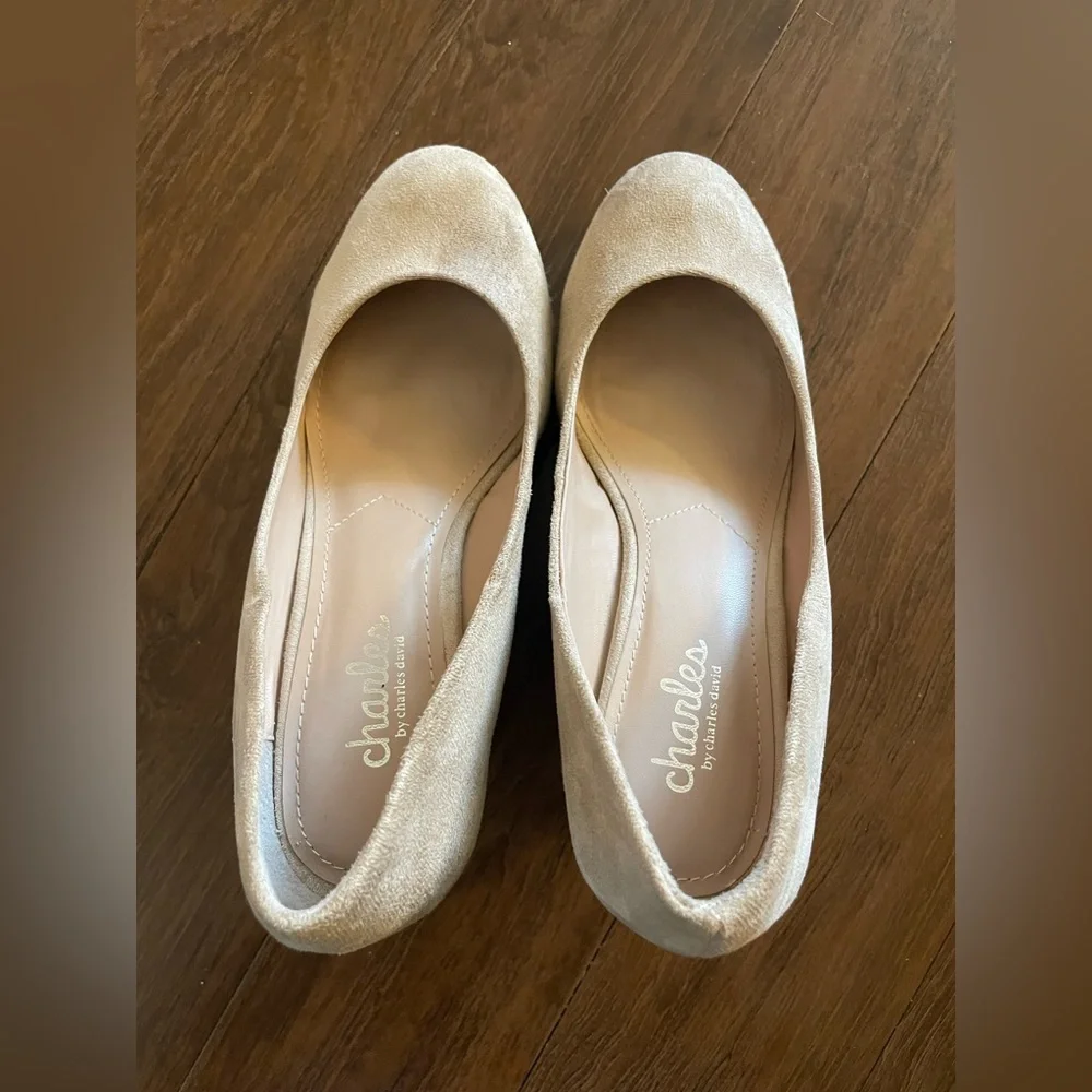 Charles David suede wedges